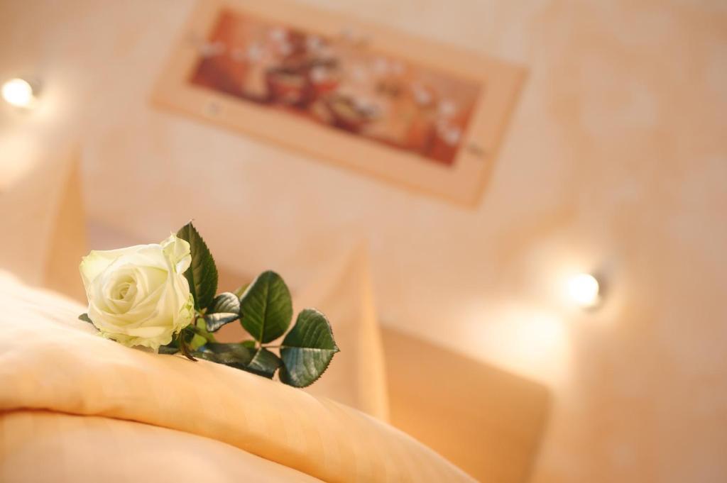 Hotel Mediterraneo นอยชตัดท์ อัน แดร์ ไวน์ชตราเซอ ห้อง รูปภาพ